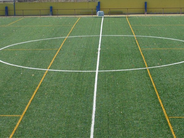 sportgrass-img1